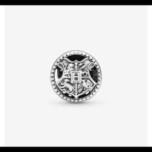 Harry Potter Pandora Charm